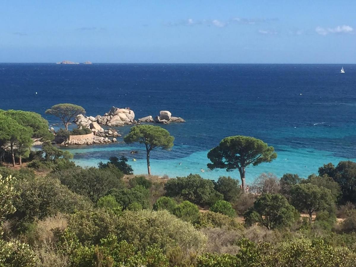 Magnifique T3 A Santa-Giulia Porto-Vecchio Διαμέρισμα Εξωτερικό φωτογραφία
