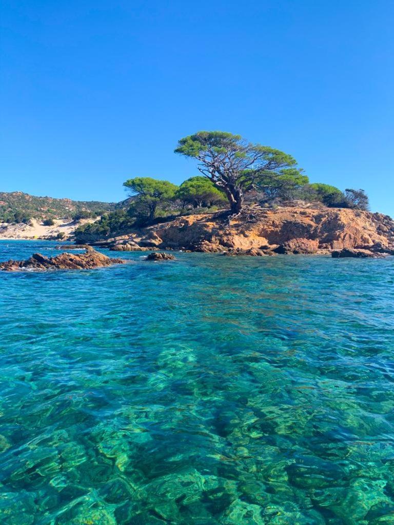 Magnifique T3 A Santa-Giulia Porto-Vecchio Διαμέρισμα Εξωτερικό φωτογραφία