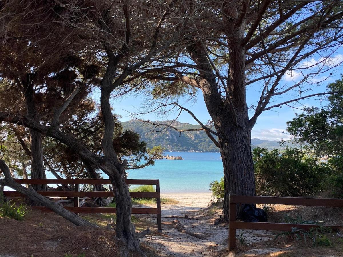 Magnifique T3 A Santa-Giulia Porto-Vecchio Διαμέρισμα Εξωτερικό φωτογραφία